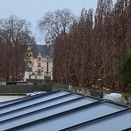Chez Benjamin - Face Au Chateau D'Azay-Le-Rideau Esterno foto
